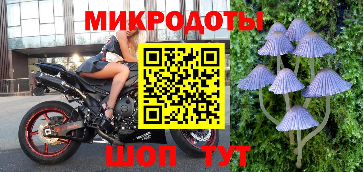 Большой Камень  Галлюциногенные грибы Psilocybe  Вход с VPN  Псилоцибиновые грибы ЛСД 