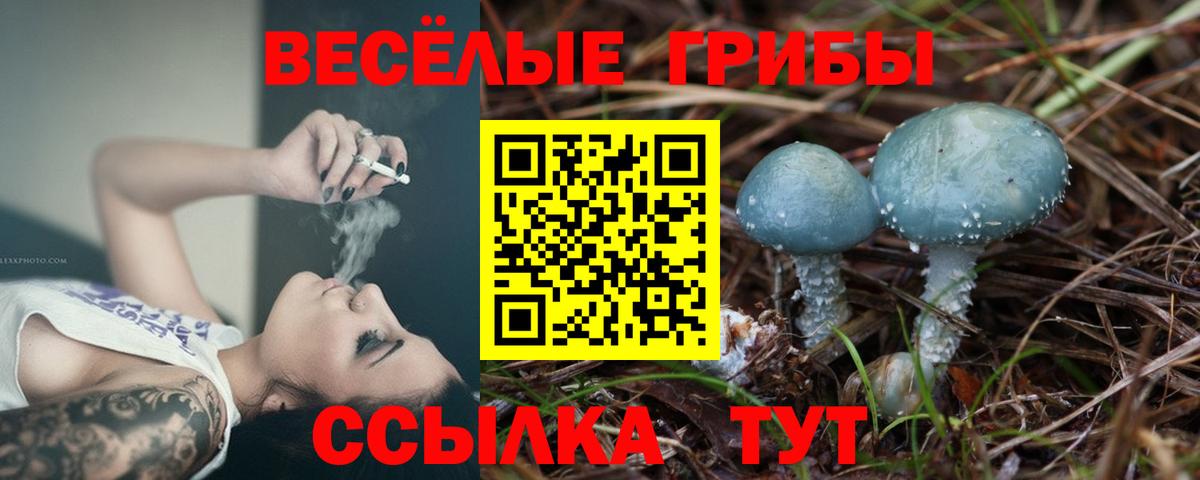 Галлюциногенные грибы ЛСД Большой Камень