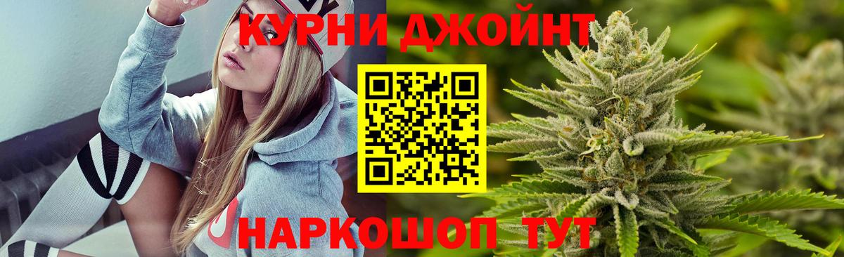 Конопля сатива  Бошки марихуана план  Вход с VPN  Большой Камень 